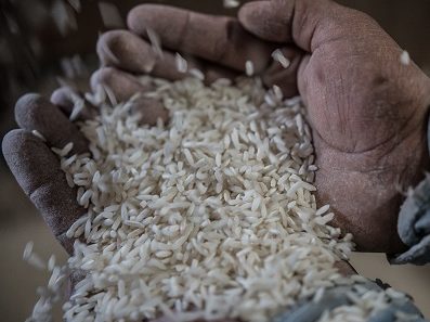 Retoma Profeco estudio de calidad al arroz para informar que ninguno tiene plástico