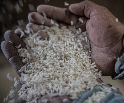 Arroz, originario de Asia pero con sabor muy mexicano