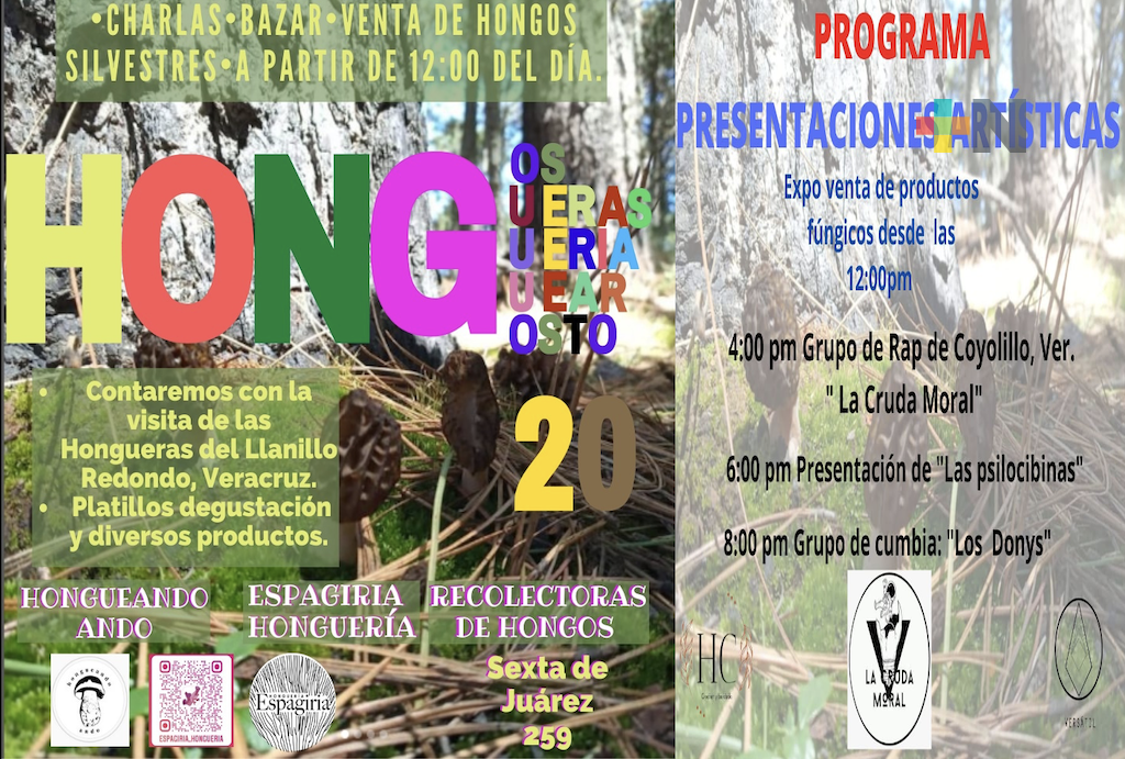 Colectivo Espagiria Honguería realizará festival, este fin de semana en Xalapa