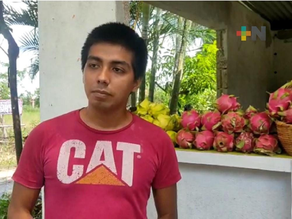 En Martínez de la Torre ya se produce pitahaya