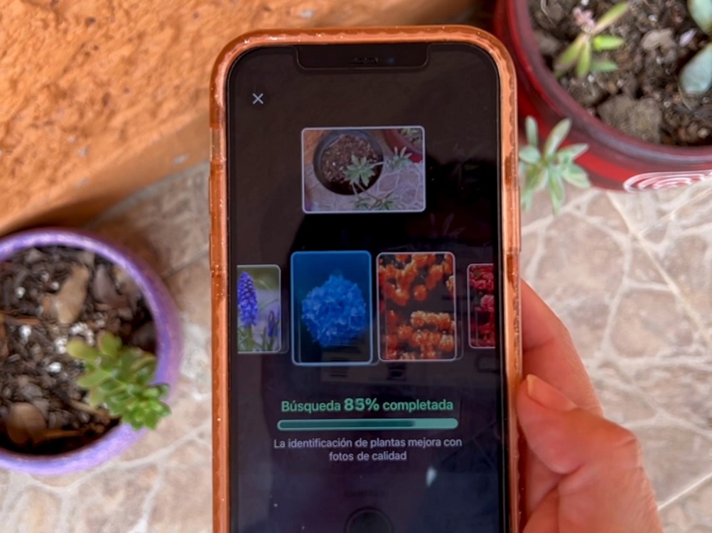 Inteligencia artificial también se utiliza para cultivar alimentos