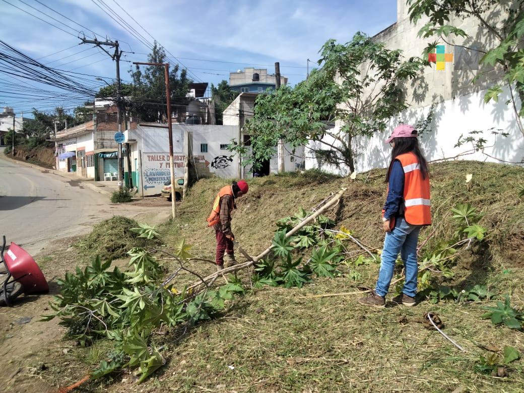 Ayuntamiento de Xalapa rescata áreas verdes en diversas zonas