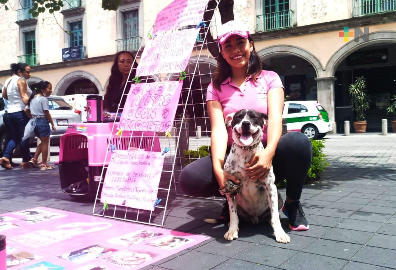 Refugio «Patitas Suaves de Xalapa» brinda en adopción a perritos rescatados