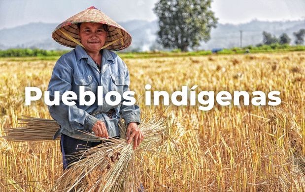 Productores de pueblos originarios, indispensables en el campo mexicano