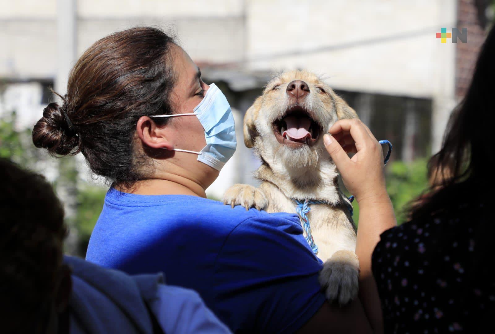 Ciudadanía xalapeña demuestra cultura del cuidado a los animales