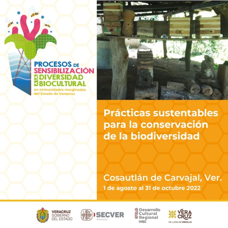Realiza IVEC actividades de sensibilización al patrimonio biocultural en comunidades veracruzanas