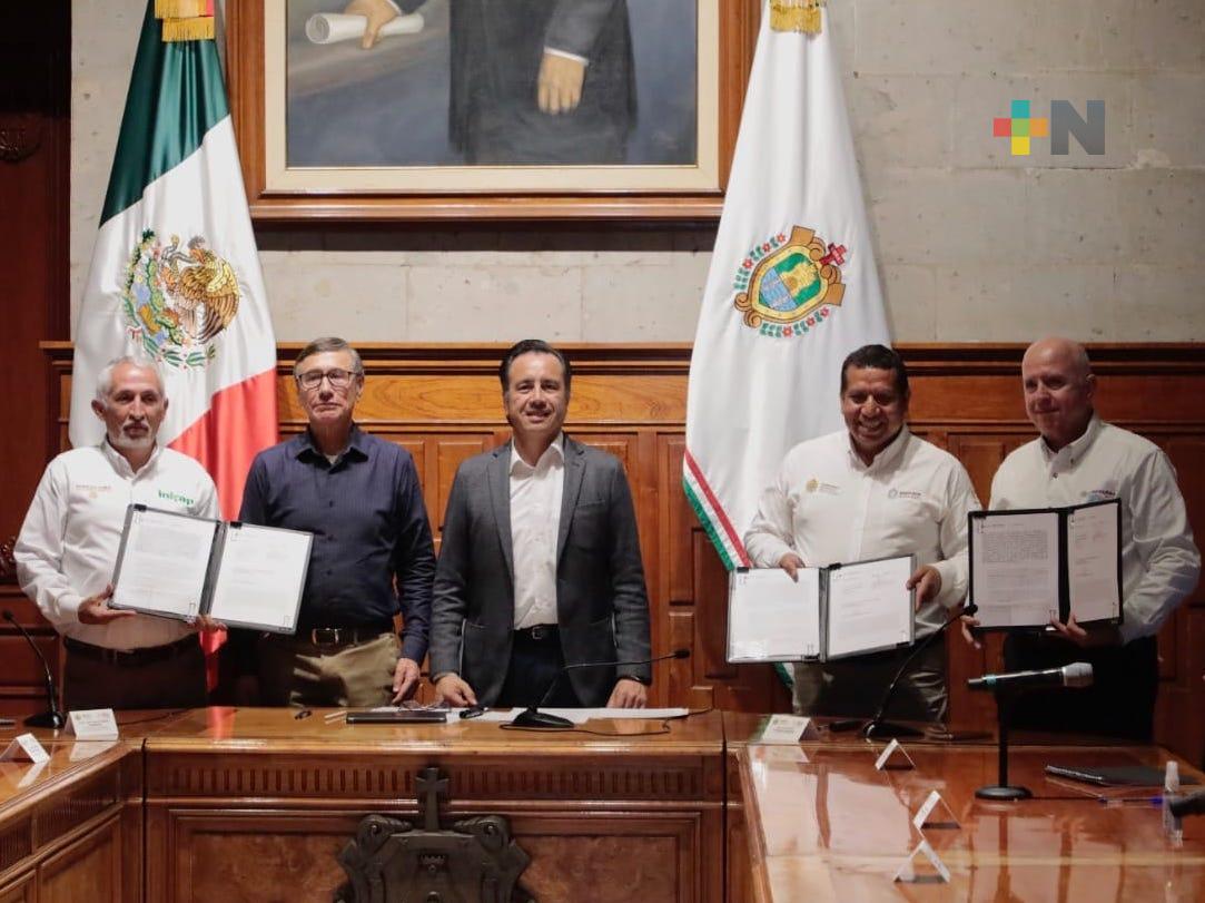 Veracruz y SADER conjuntan acciones para consolidar la producción rural sustentable