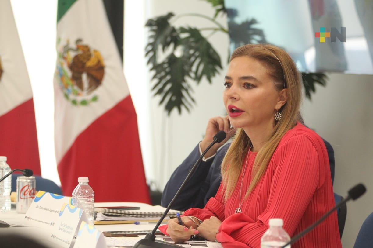 Integrantes del Consejo General del INE exponen condiciones del sistema electoral en México y el mundo