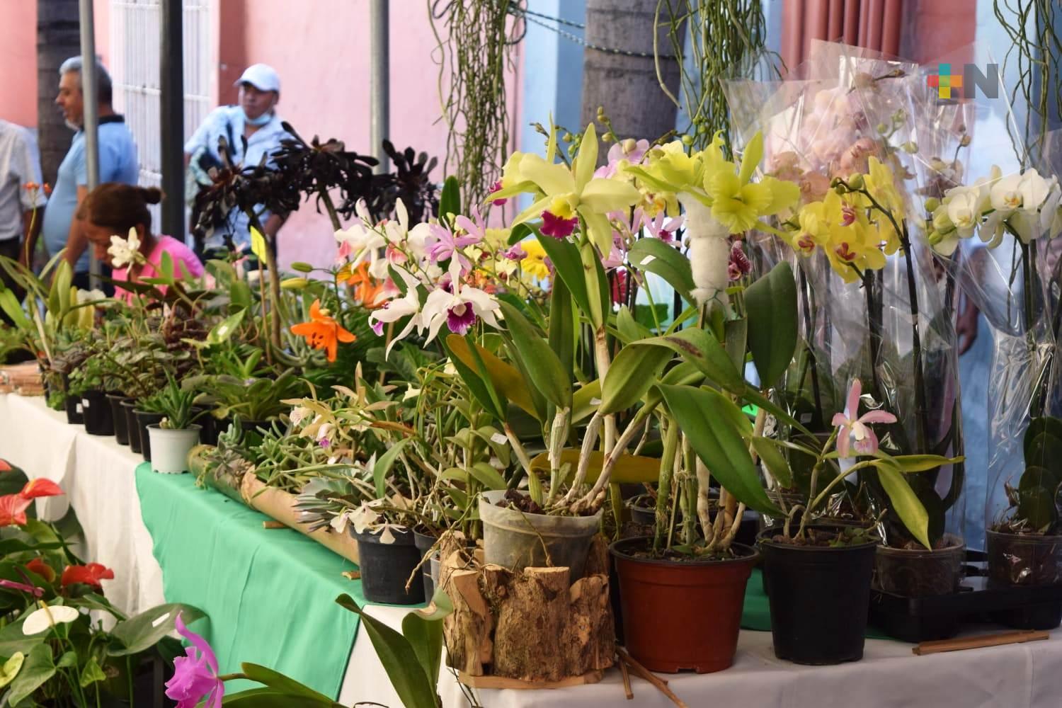 Habilitará Fomento Agropecuario Parque de Floricultura de Toxpan