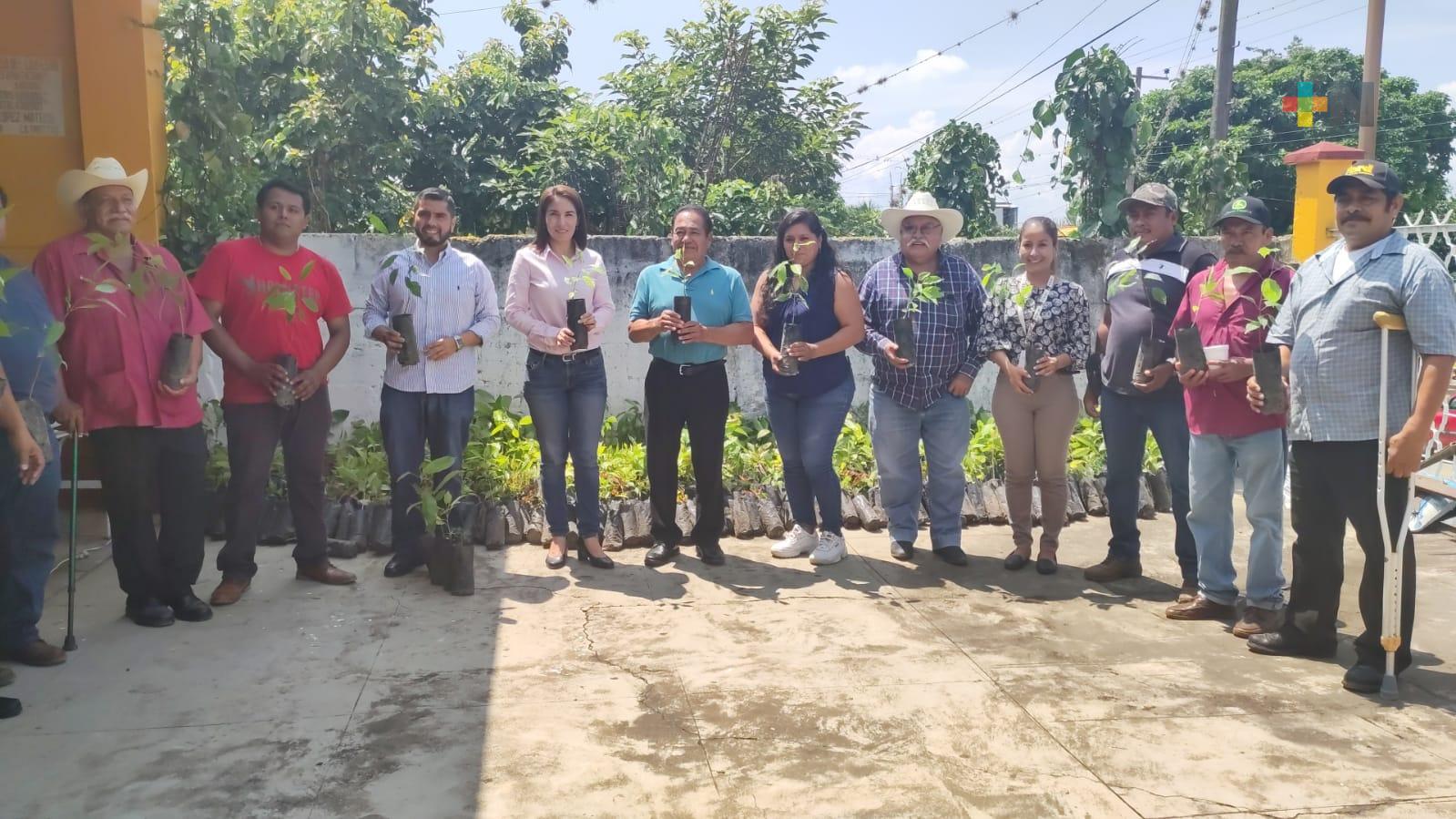Entrega Sedema árboles maderables para reforestación en Yanga