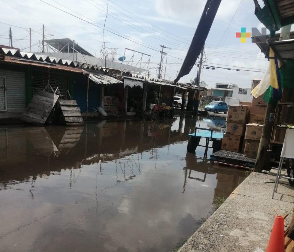 Reportan fuga de aguas negras en mercado Malibrán