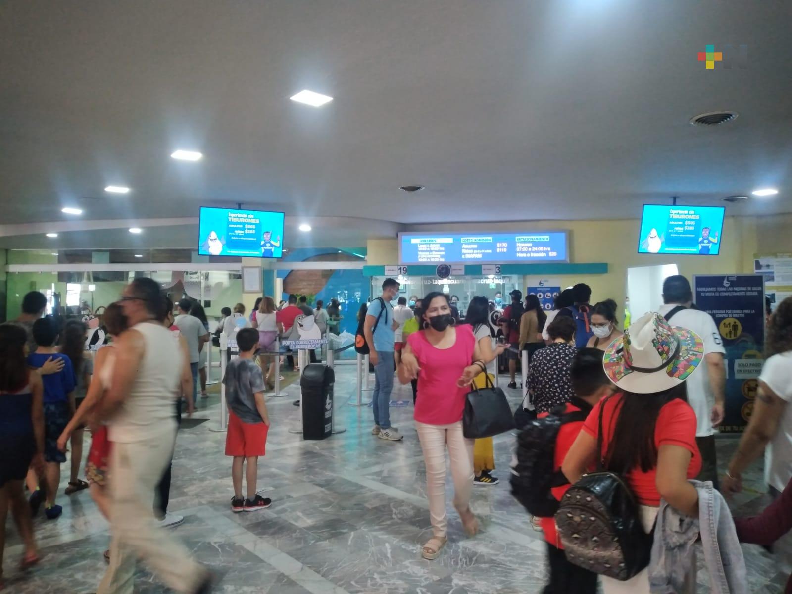 Aquarium de Veracruz de los sitios más visitados en esta temporada