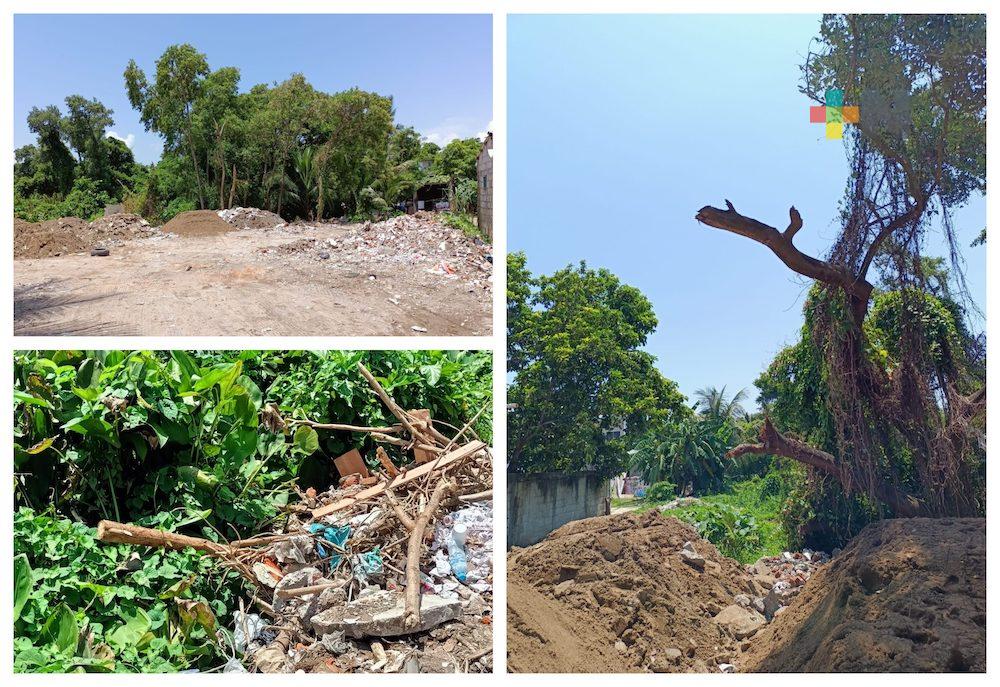 Continúa ecocidio en área natural protegida de Arroyo Moreno