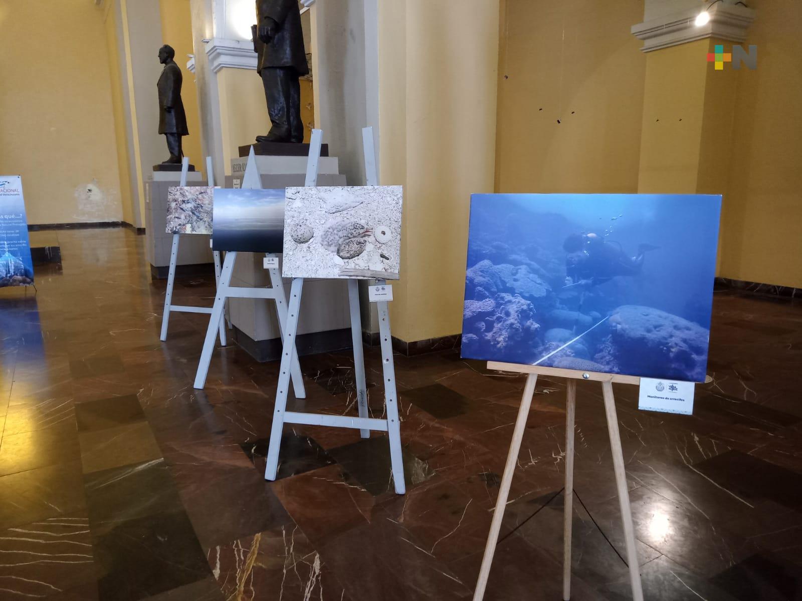 Inauguran exposición fotográfica «30 años de protección de los arrecifes de Veracruz: Vida, belleza y sustento»