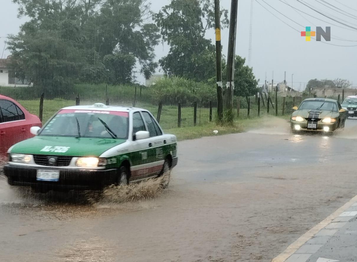 Sin afectaciones en Xalapa tras lluvias y vientos de este lunes