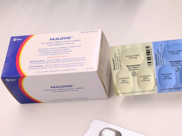 Lote de Paxlovid llegará a Veracruz: Gerardo Díaz