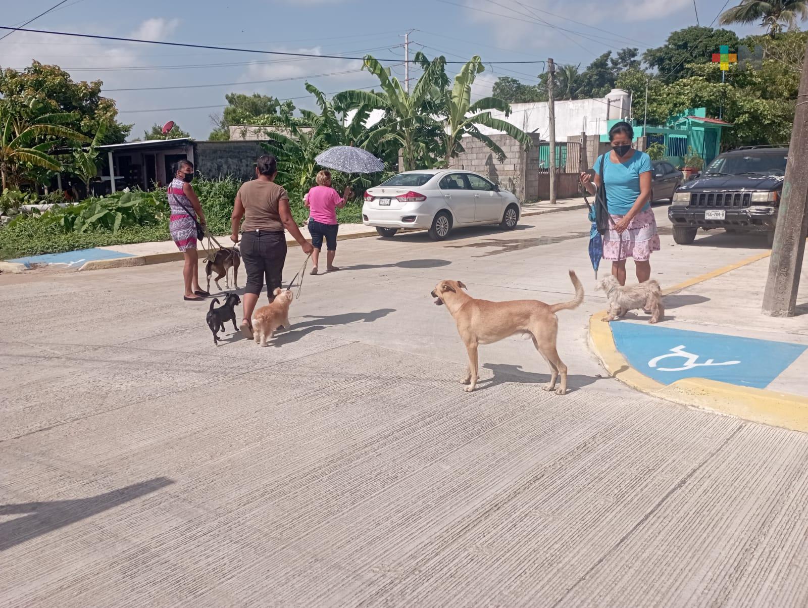 Analizan reglamento de protección animal de Coatza