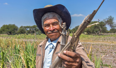 Estrategia Nacional de Suelo para Agricultura Sostenible, factor para autosuficiencia alimentaria