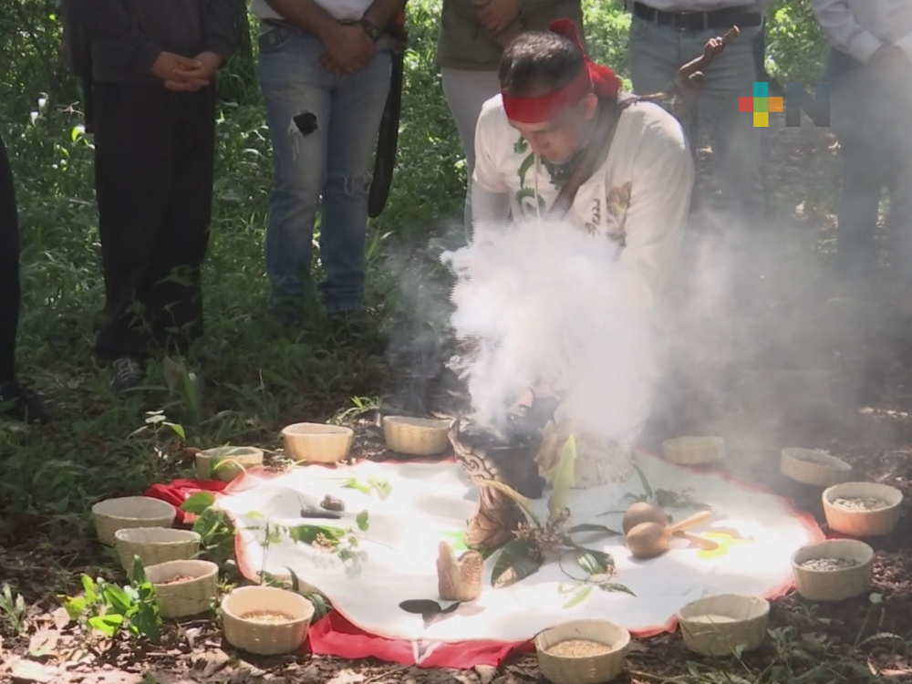 Realizan terapia forestal en el Cerro de la Galaxia