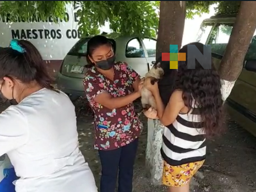 Hasta el 19 de agosto continuará campaña de vacunación antirrábica en Martínez de la Torre