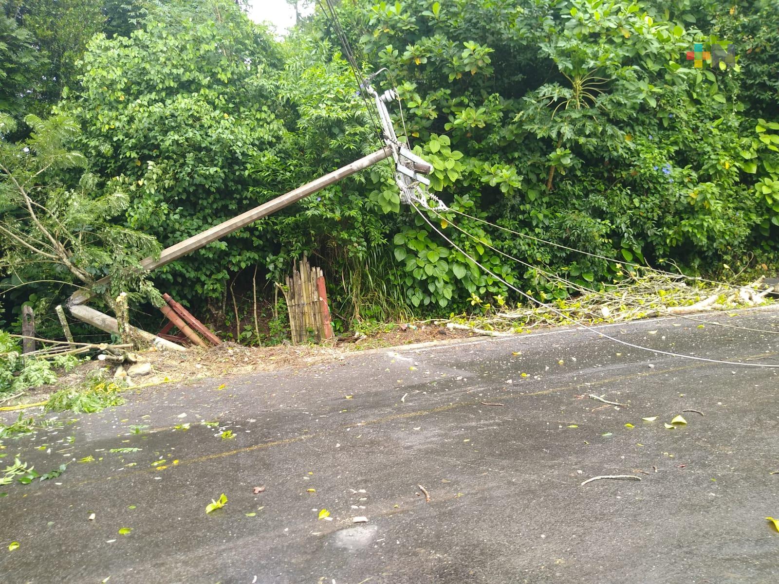 Caída de poste afecta a vecinos de  comunidad del municipio de Yecuatla
