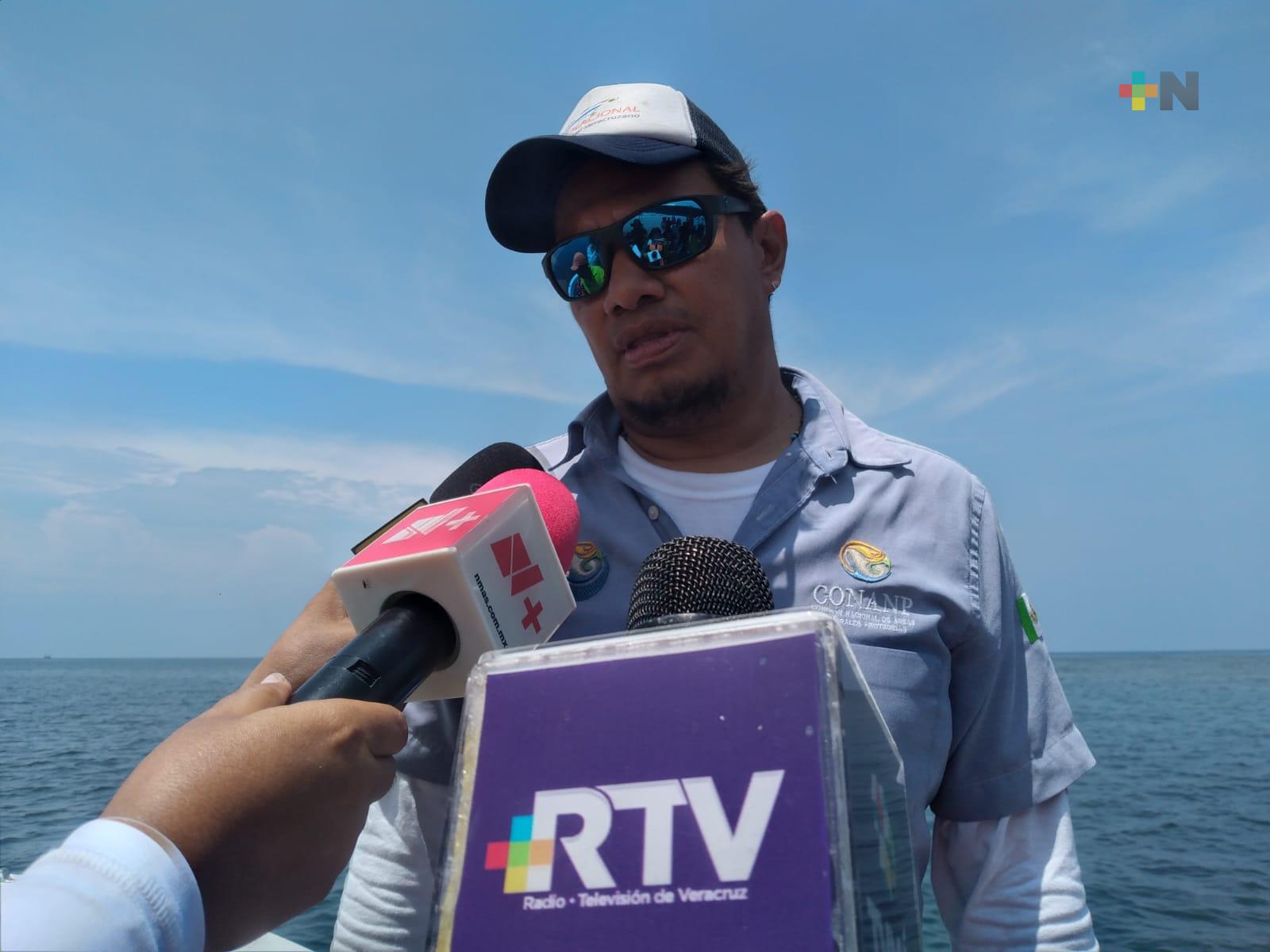 Con programa de restauración se han recuperado arrecifes en Golfo de México