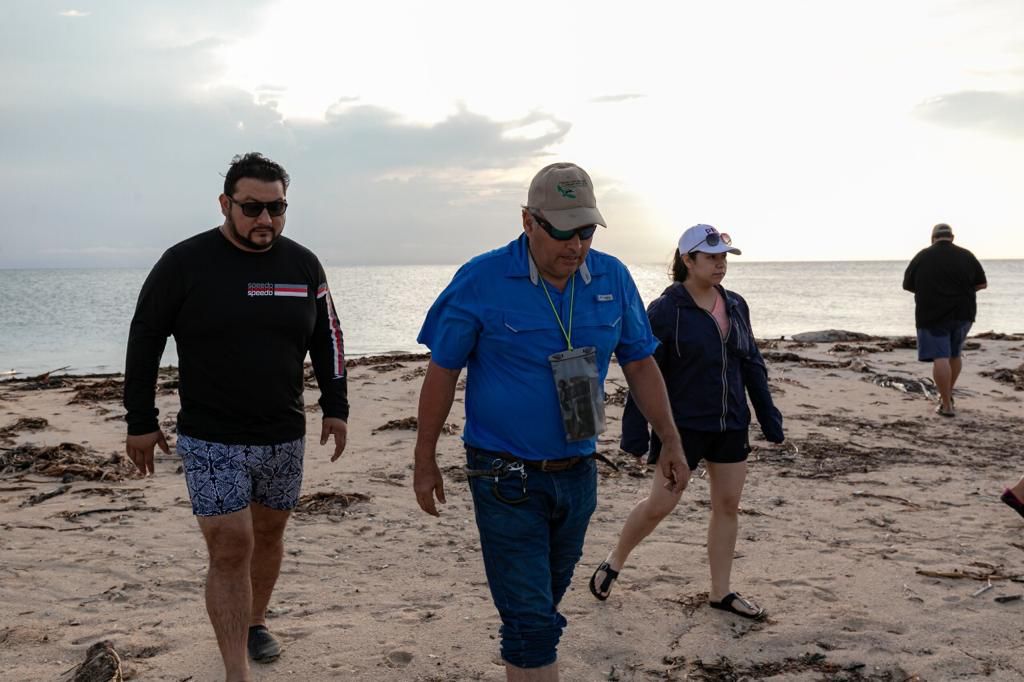 Supervisa Protección al Medio Ambiente campamentos tortugueros en islas del sistema arrecifal