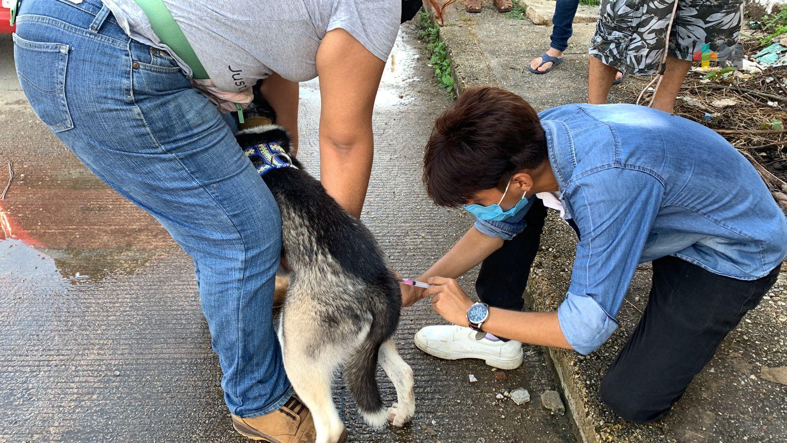 Llevan a cabo jornada de vacuna antirrábica en Coatzacoalcos