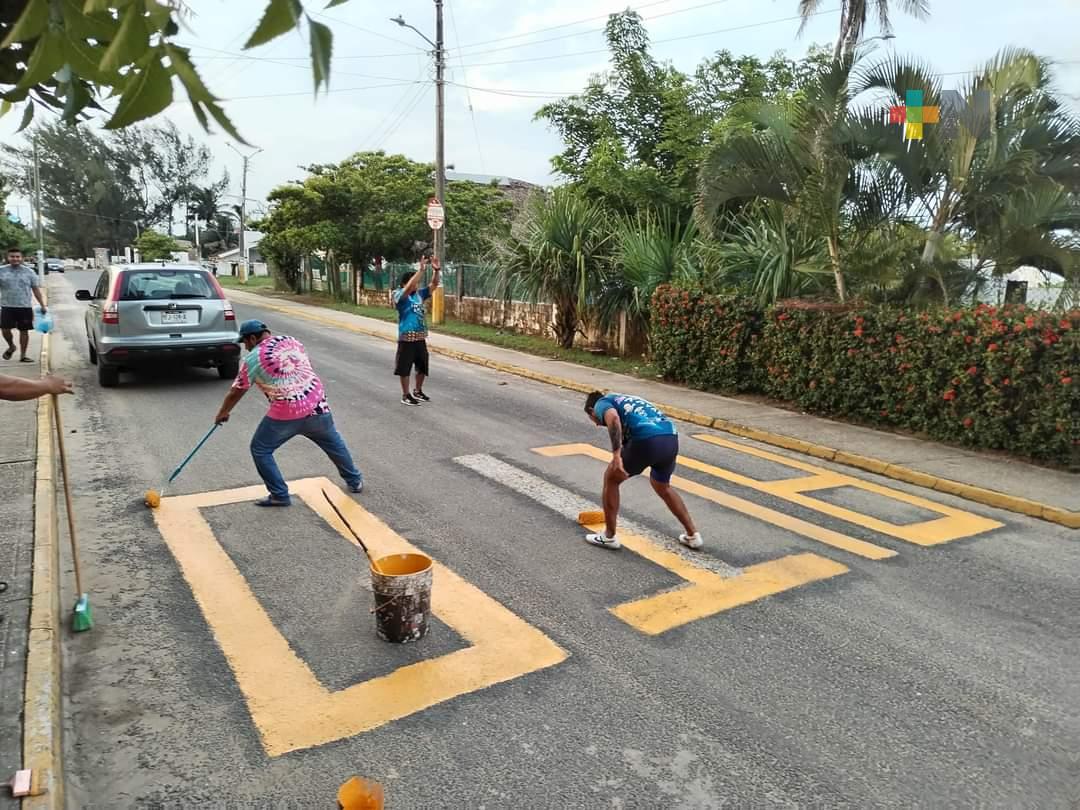 Ciudadanos pintan topes, pasos peatonales y señaléticas en congregación de Coatza