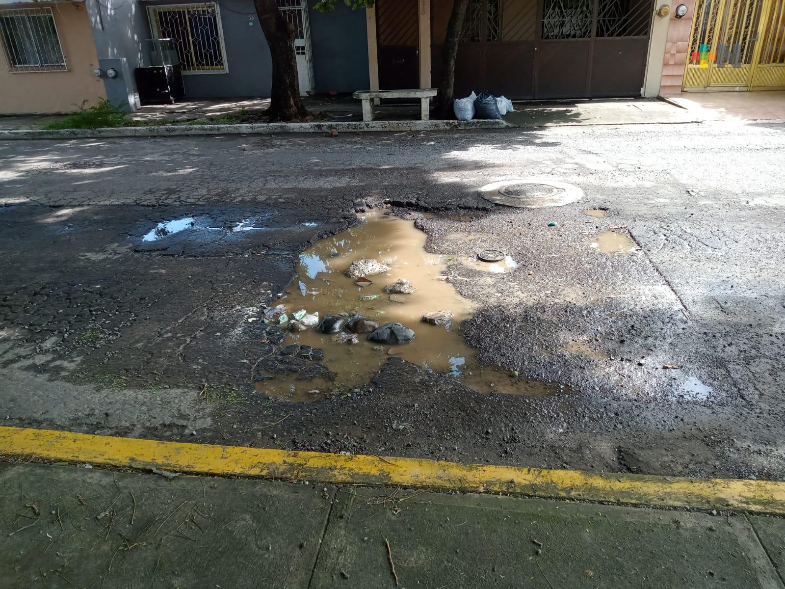 Bache en Infonavit Medano de Buenavista acumula semanas sin atención
