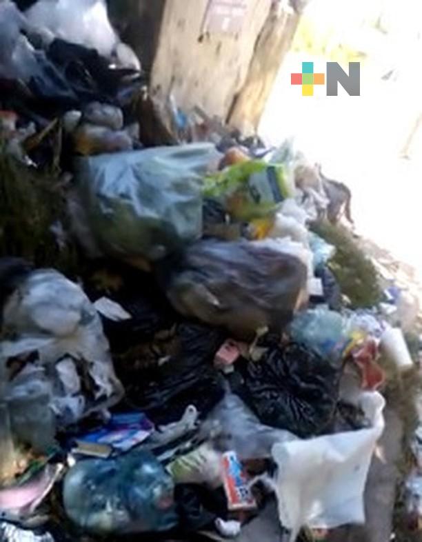 Denuncian falta de recolección de basura en fraccionamiento Residencial del Bosque de Veracruz puerto