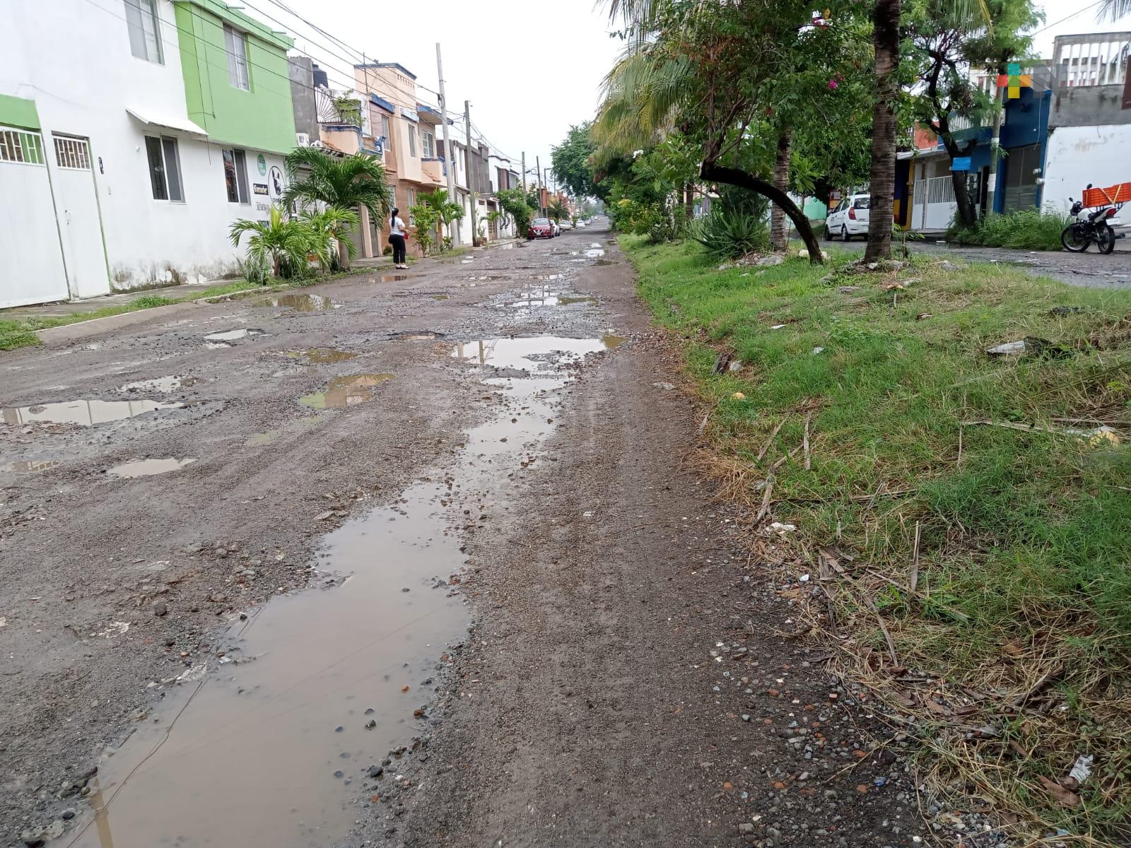 Baches en la calle Laguna de Tamos del fraccionamiento El Coyol