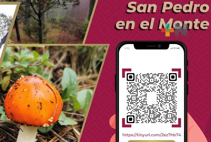 Inicia consulta ciudadana para declarar área natural protegida a San Pedro en el Monte