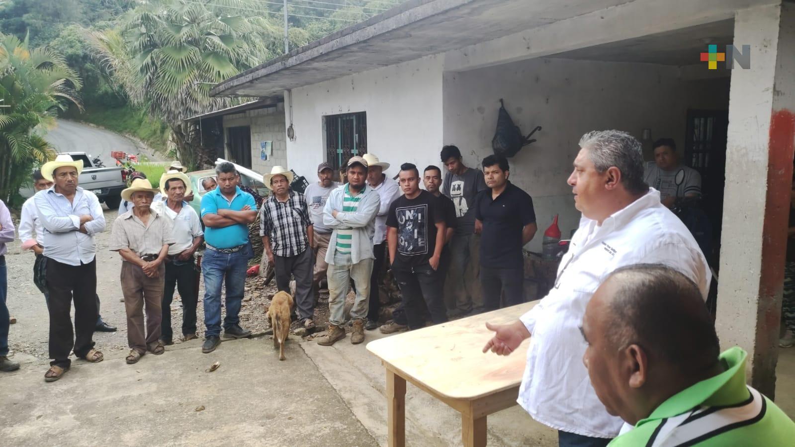 Elevados precios en fertilizantes afecta a cafeticultores de la sierra de Zongolica