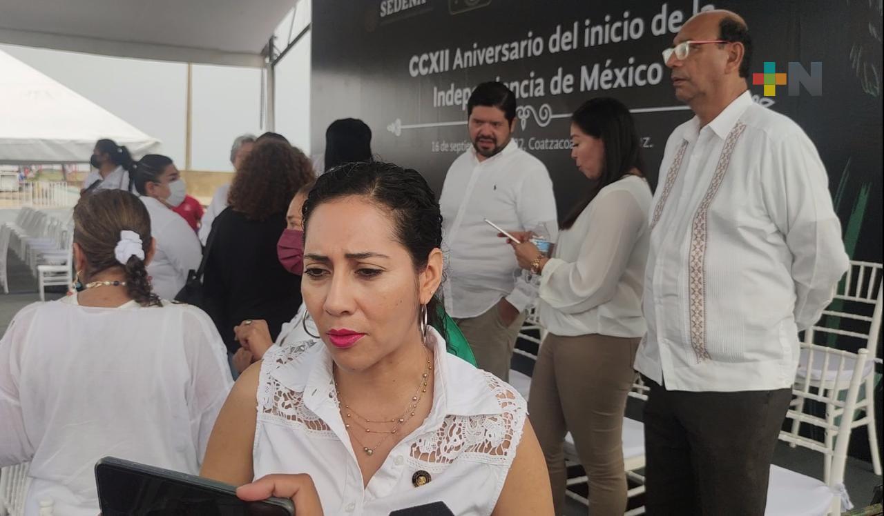 Congreso de la Unión crea comisión especial para vigilar desempeño de cuerpos de seguridad