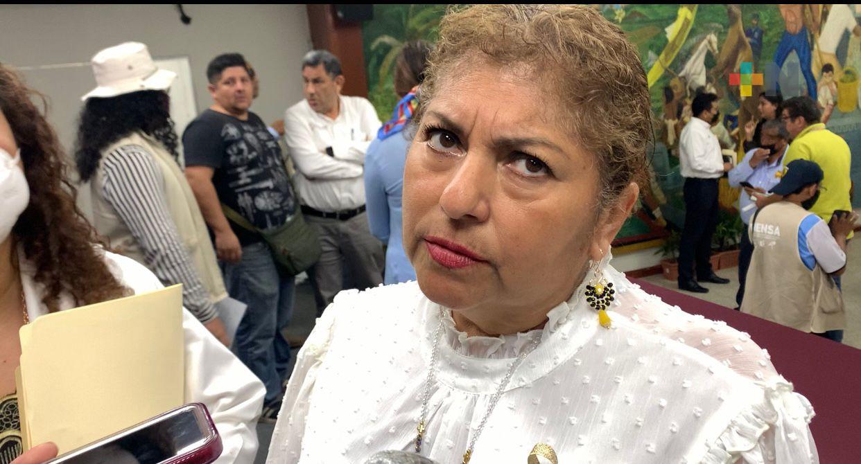 Trámites para adopción deben realizarse ante DIF estatal-Veracruz