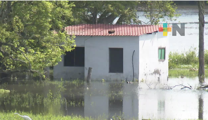 En localidad Camarón del municipio de Ignacio de la Llave, 60 casas permanecen inundadas