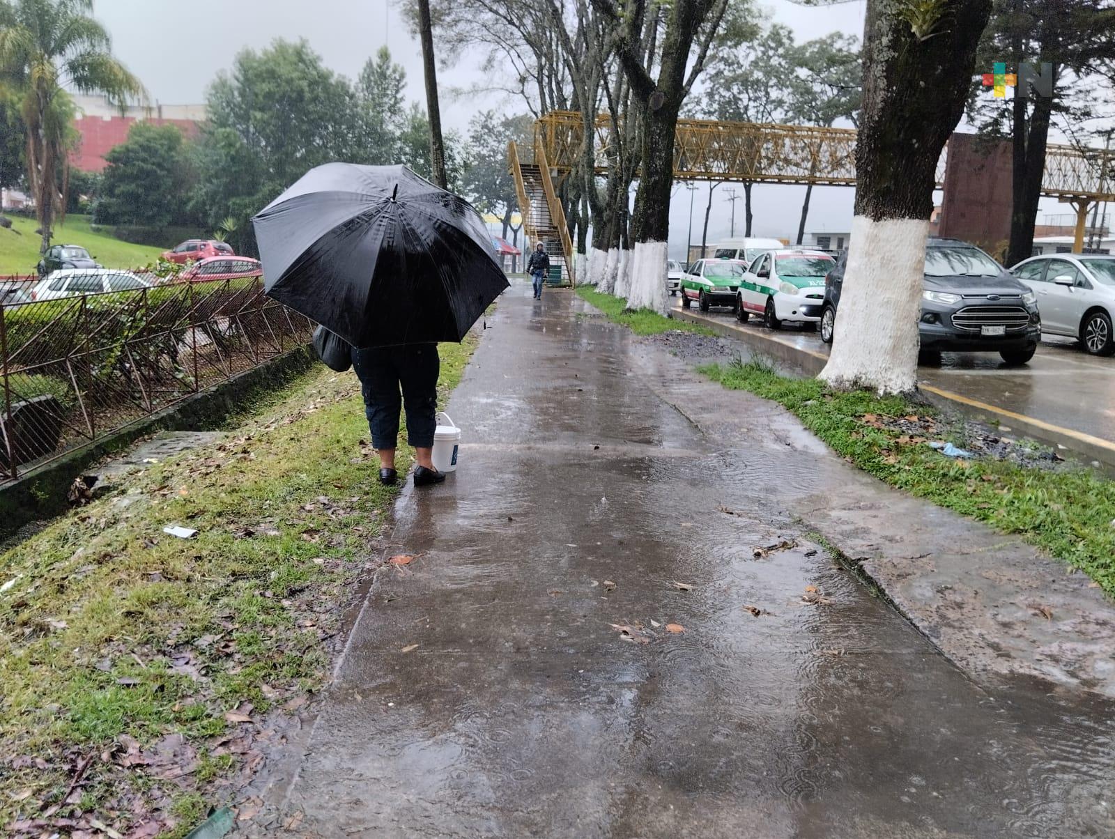 Norte, lluvias y descenso de temperatura por frente frío 11 en el estado de Veracruz