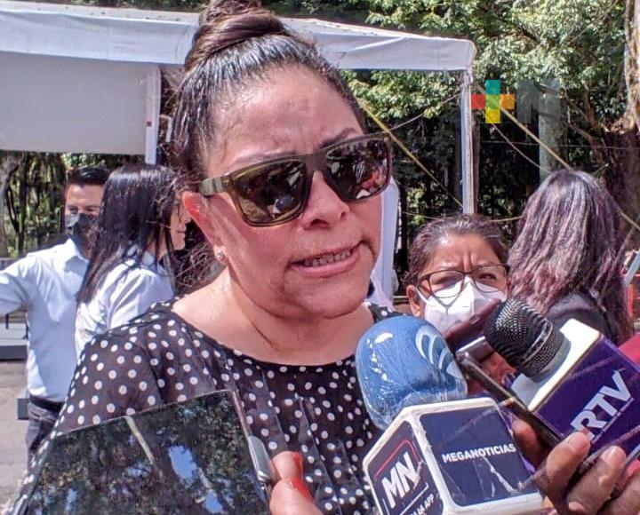 IVM respeta tiempos para analizar Ley Monse en el Congreso de Veracruz