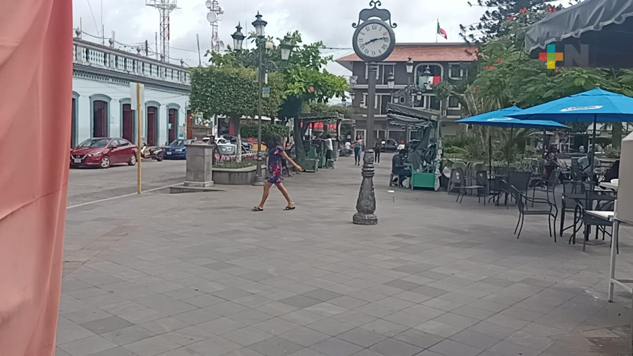 Misantla regresa al cultivo del café, abandonado temporalmente por el alto costo