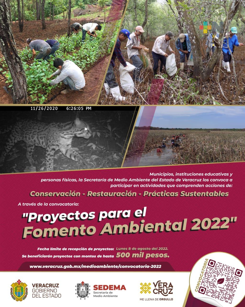 Sedema apoyará 25 propuestas del programa “Proyectos para el Fomento Ambiental 2022” 