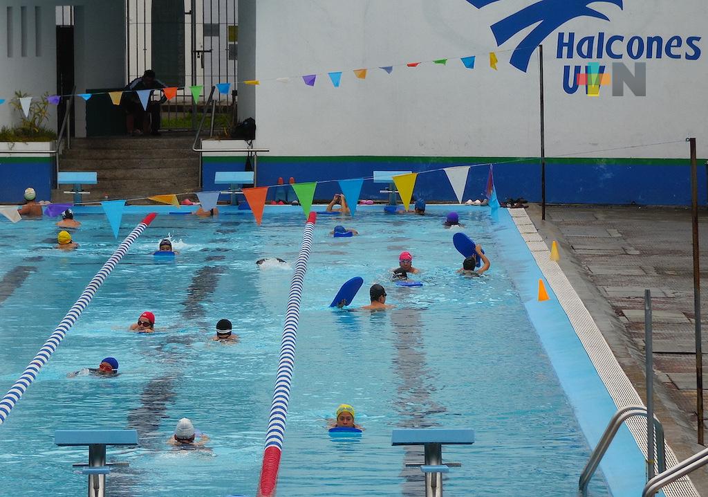 Halcones UV nadarán en Copa Jarocha 2022