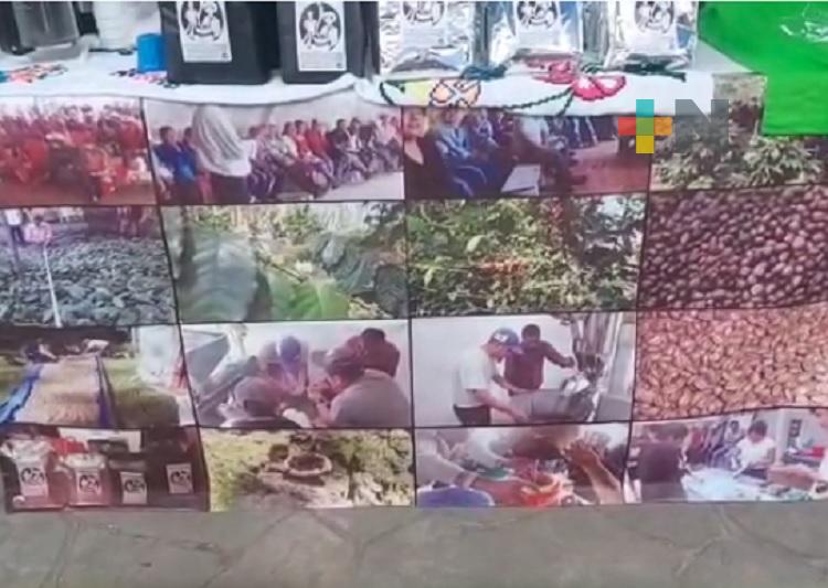 Sedarpa llevará foros regionales de estrategia integral café Veracruz a municipios