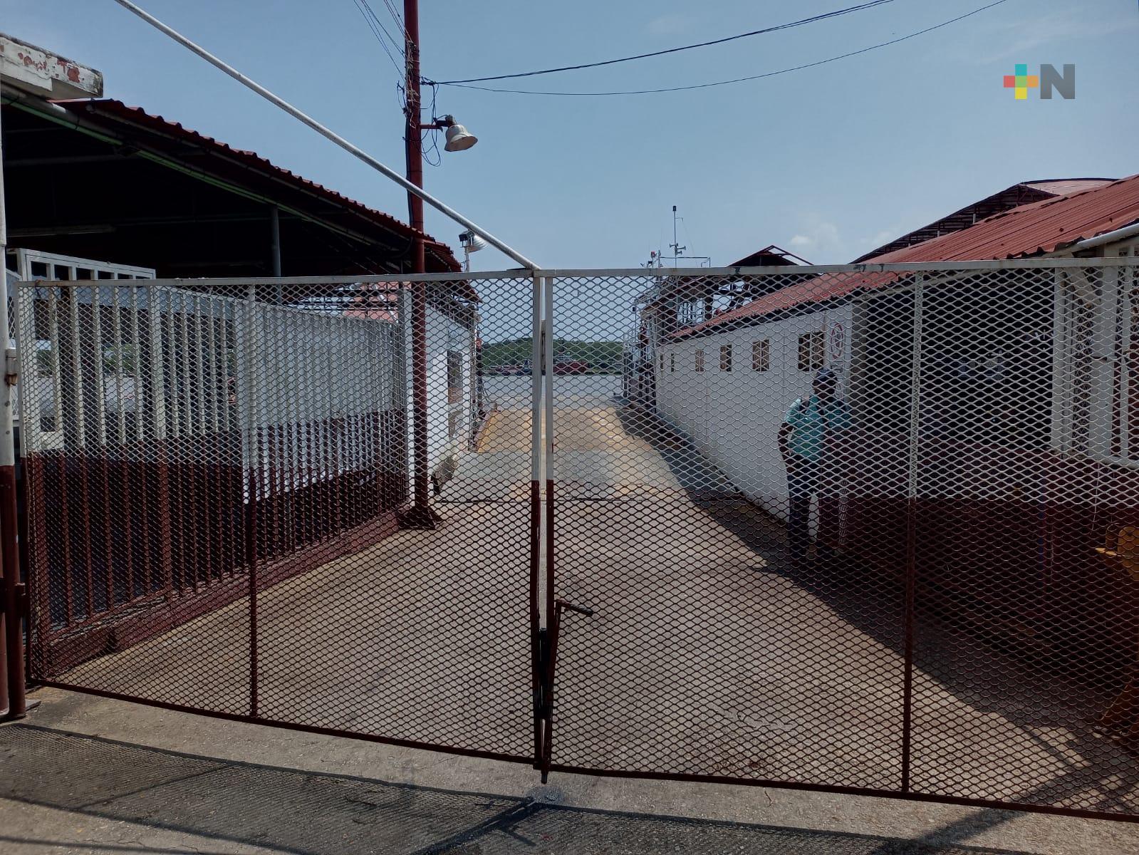 Exceso de lirio y palizada provoca suspensión de transbordadores en Coatza