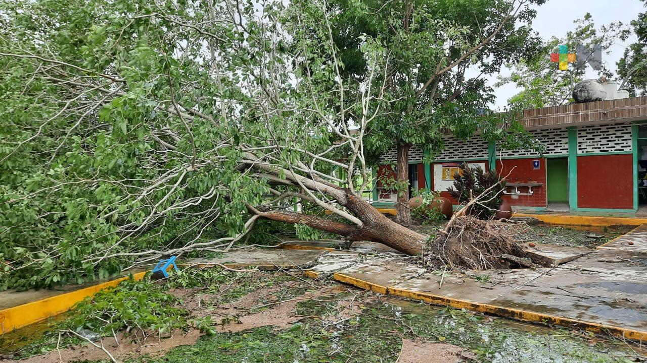 Protección Civil de Tuxpan realiza tareas preventivas por lluvias y huracanes