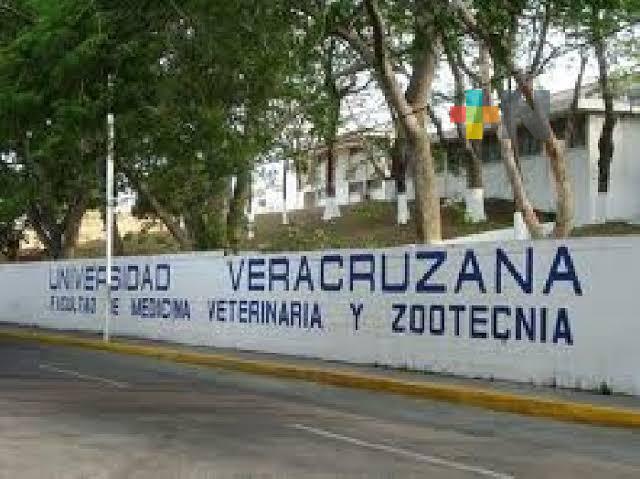 Facultad de Veterinaria de la UV registra incremento de matrícula estudiantil