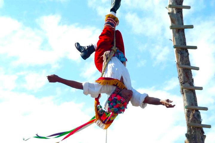 Enaltecen la Danza Ritual de los Voladores con la siembra del palo volador en el Complejo Cultural Los Pinos
