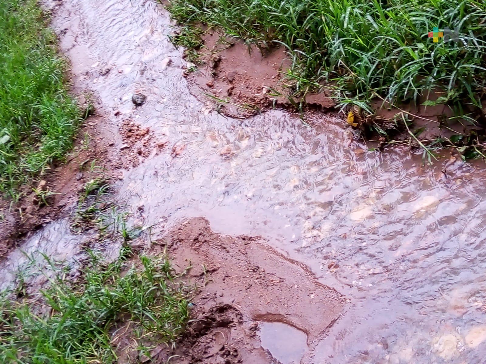 No se registran afectaciones graves por lluvia constante en la capital veracruzana: PC-Xalapa