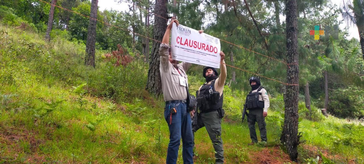 Clausuran Profepa y SSP predio forestal en Ayahualulco