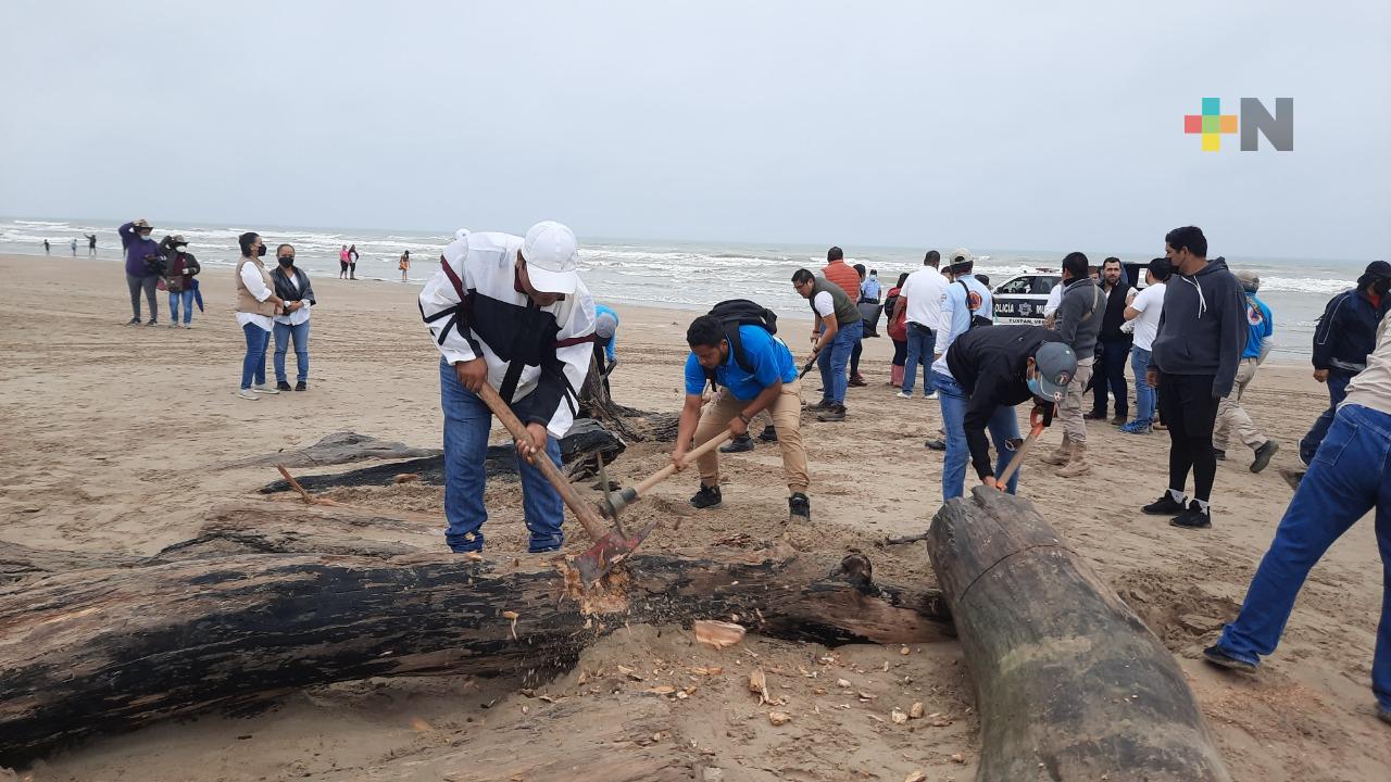 Iniciarán en octubre la limpieza de playas de Tuxpan